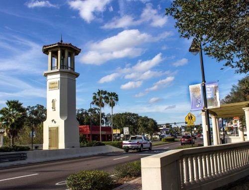Living in and Moving to Temple Terrace, Florida