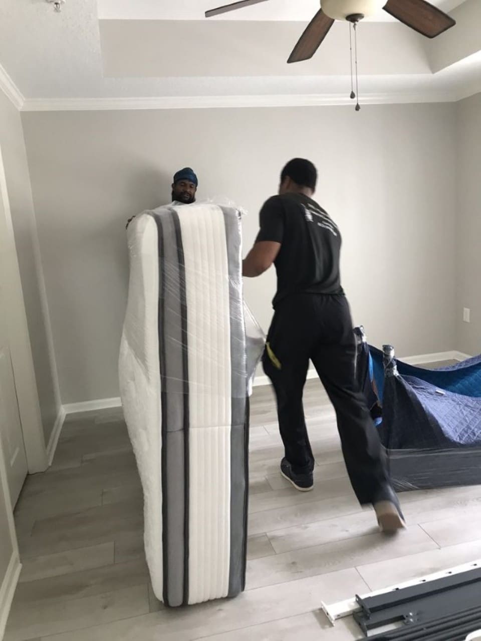 Labor Moving Companies in Tampa Florida